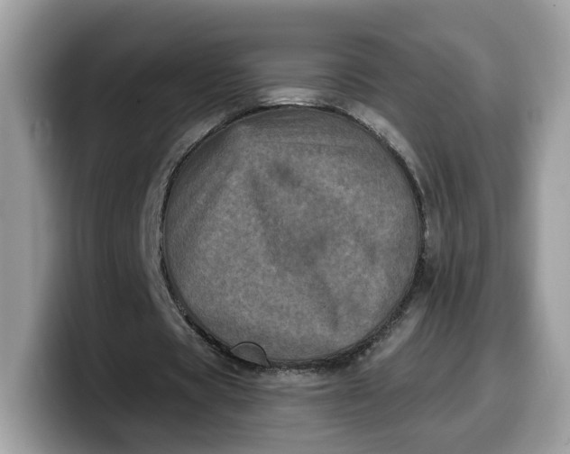 X0000099580529200805301601