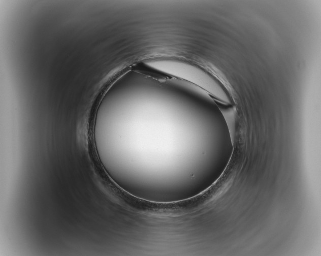 X0000099580530200805301601