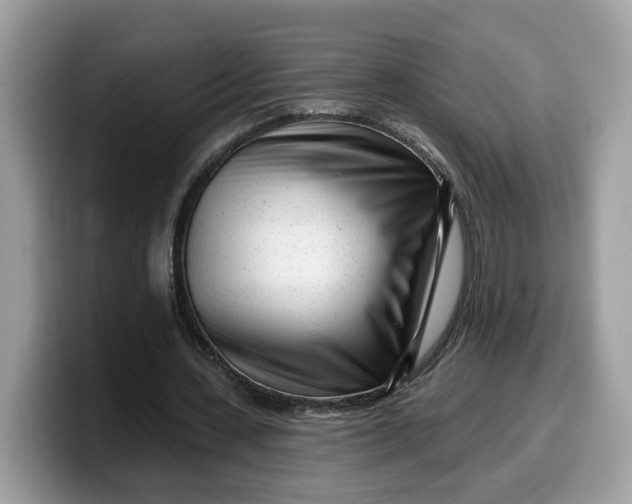 X0000099580531200805301601