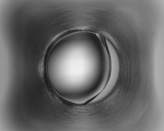 X0000099580532200805301601