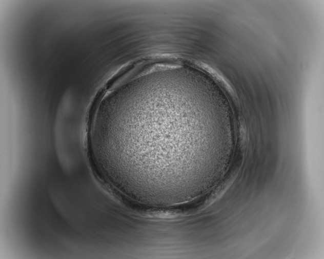 X0000099580533200805301601