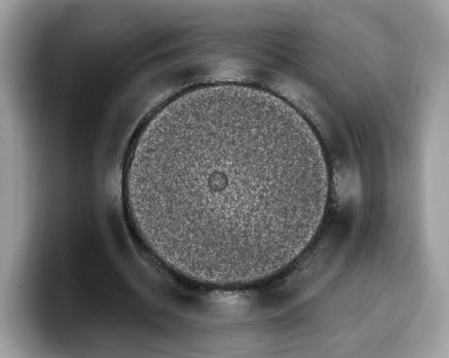 X0000099580534200805301601