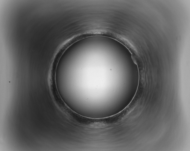 X0000099580536200805301601