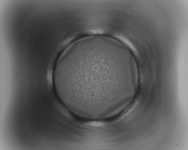 X0000099580537200805301601