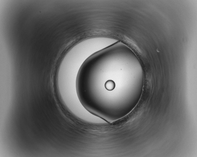 X0000099580538200805301601