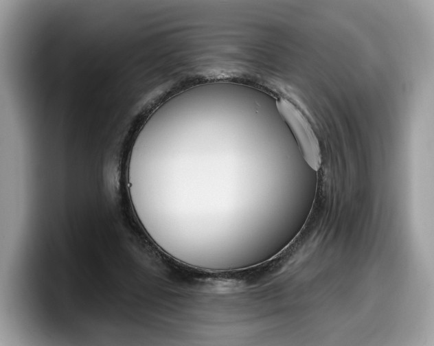 X0000099580539200805301601