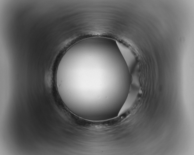 X0000099580540200805301601