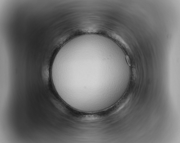 X0000099580541200805301601