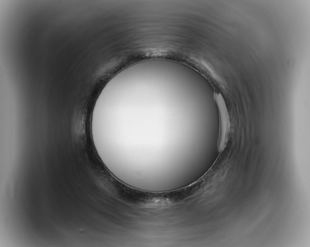 X0000099580543200805301601