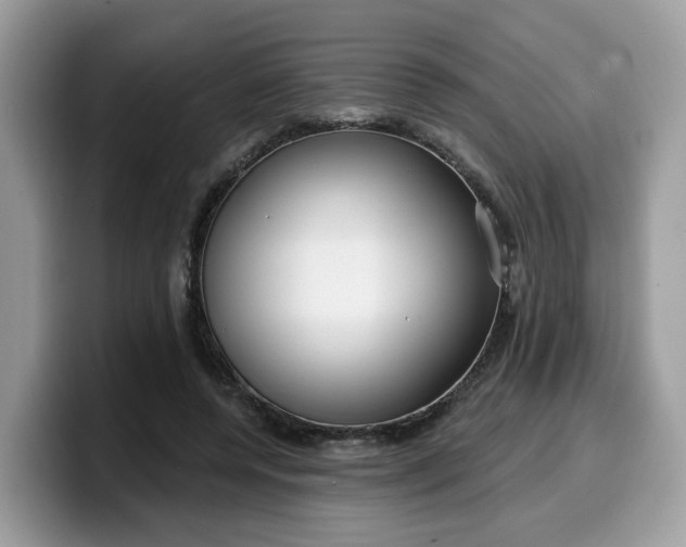 X0000099580544200805301601