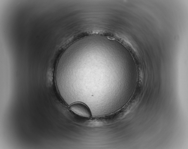 X0000099580545200805301601