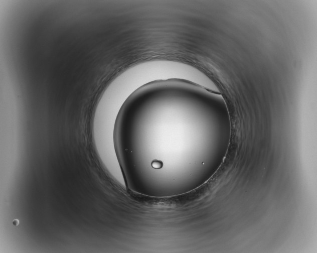 X0000099580546200805301601