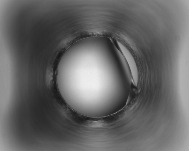 X0000099580548200805301601