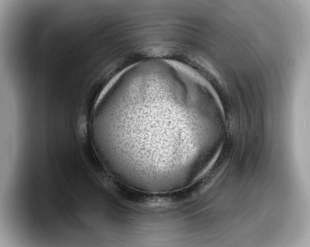 X0000099580549200805301601