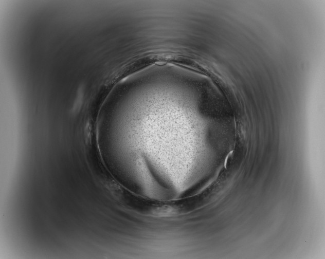 X0000099580551200805301601