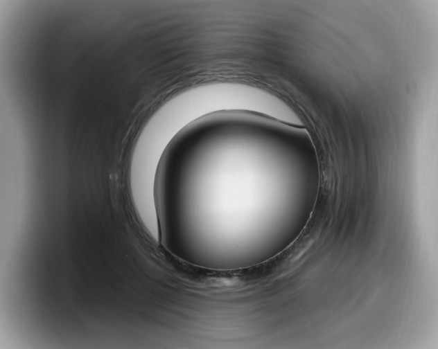 X0000099580552200805301601