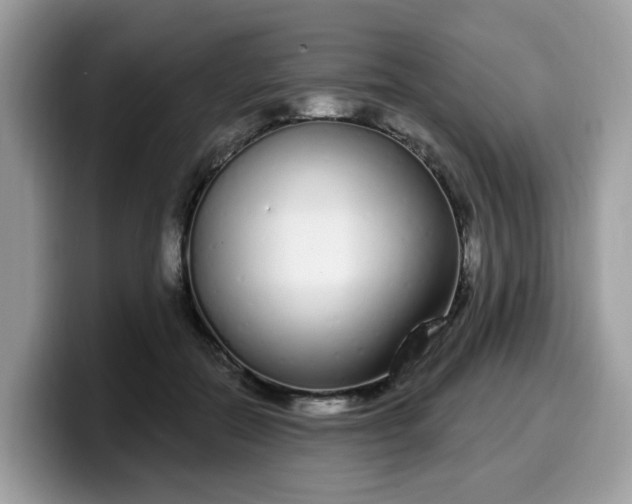 X0000099580554200805301601