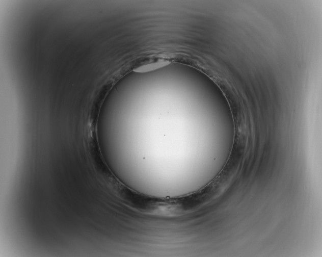 X0000099580555200805301601