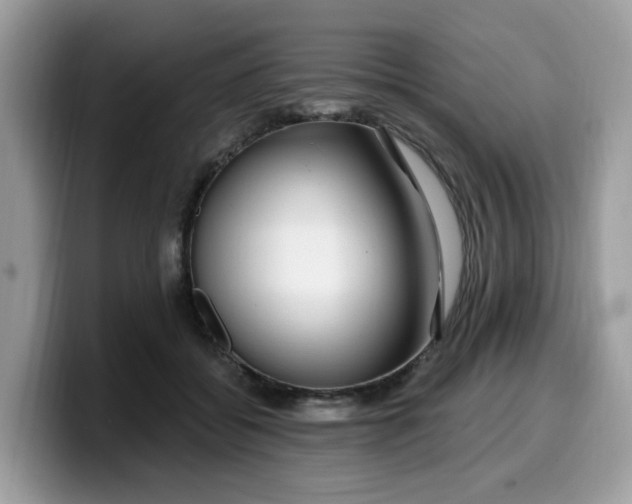 X0000099580556200805301601