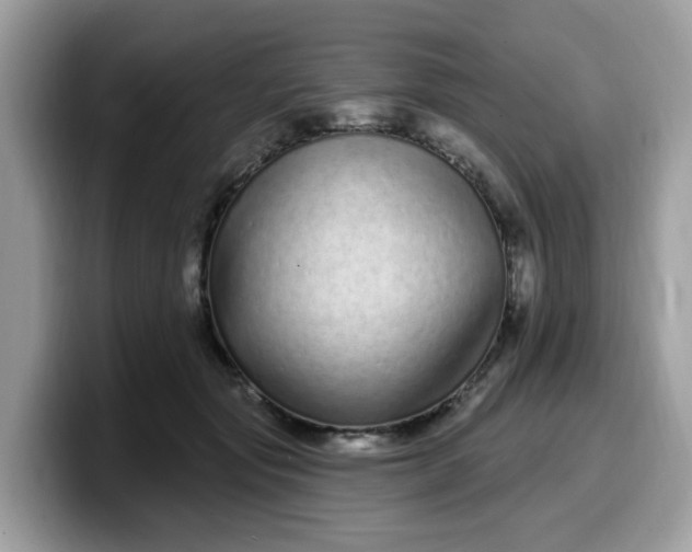 X0000099580557200805301601