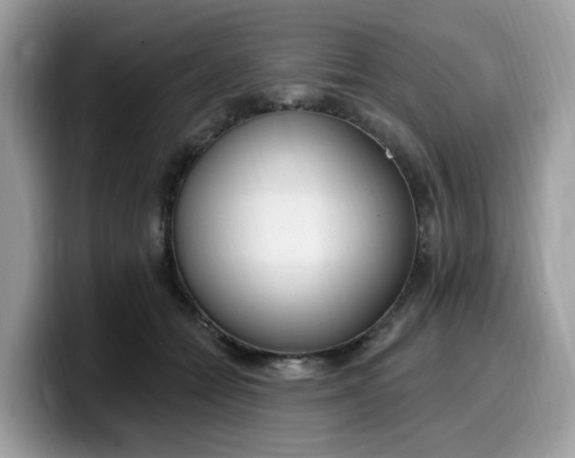 X0000099580558200805301601