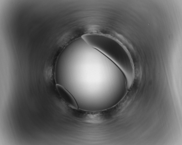 X0000099580560200805301601