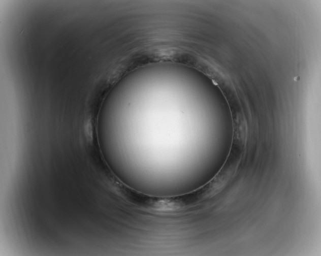 X0000099580562200805301601