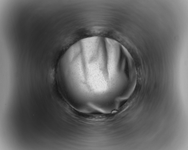 X0000099580563200805301601