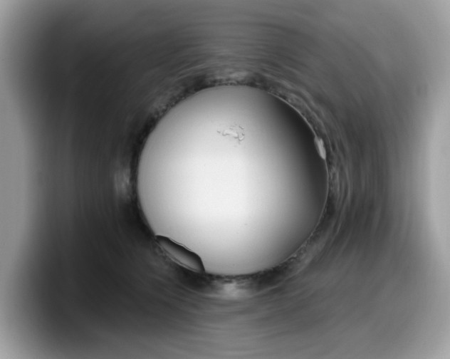 X0000099580564200805301601