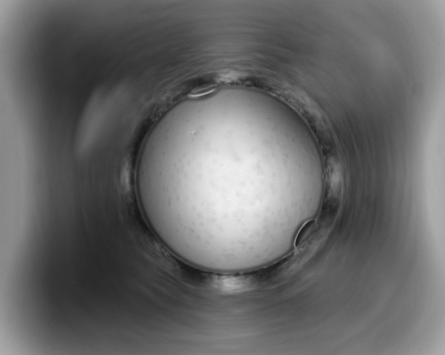 X0000099580565200805301601