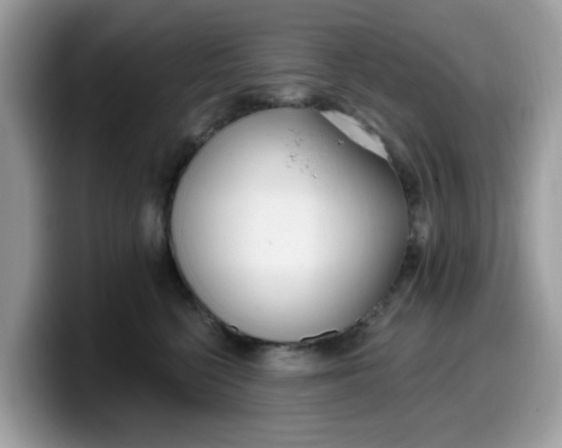 X0000099580568200805301601