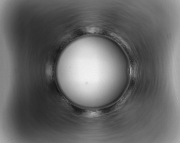 X0000099580569200805301601