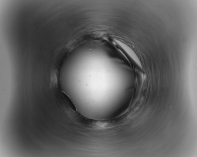 X0000099580570200805301601