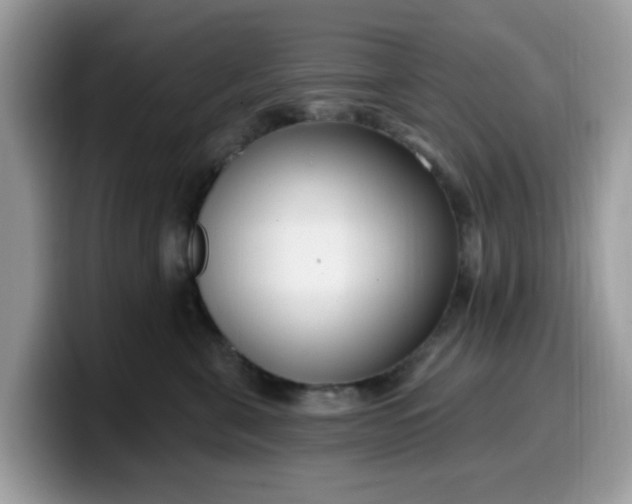 X0000099580571200805301601