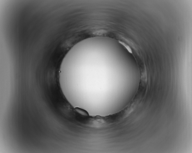 X0000099580572200805301601