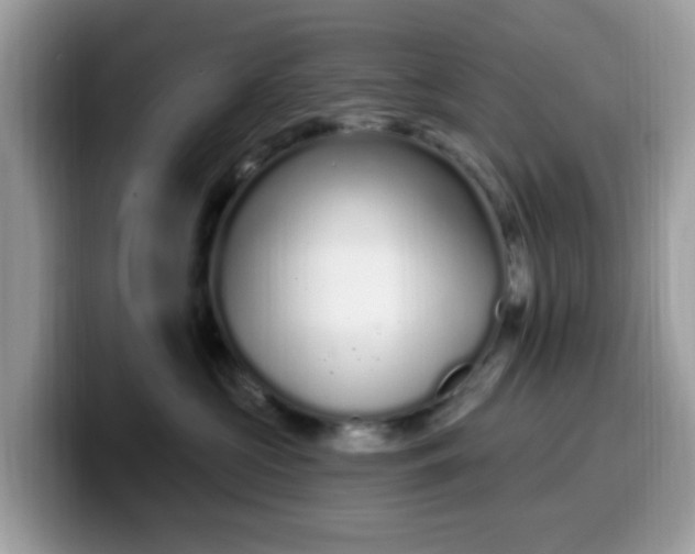 X0000099580573200805301601