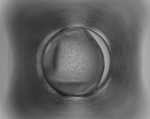 X0000099580577200805301601