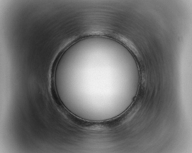 X0000099580578200805301601