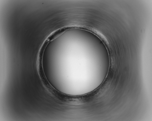 X0000099580580200805301601