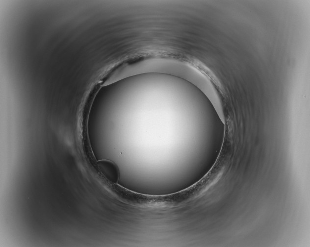 X0000099580581200805301601