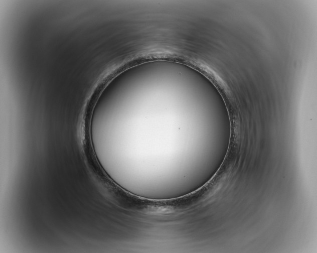 X0000099580582200805301601