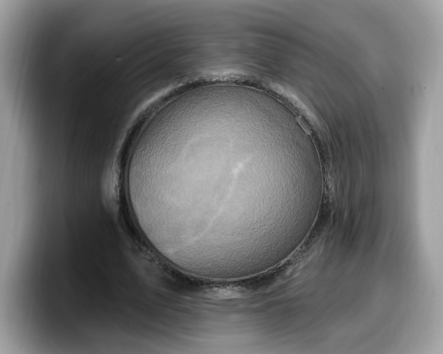 X0000099580583200805301601