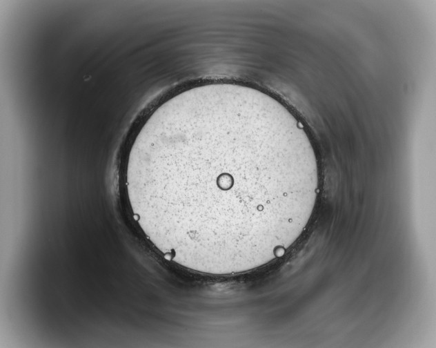 X0000099580584200805301601