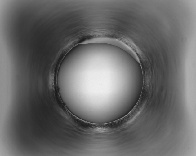 X0000099580585200805301601