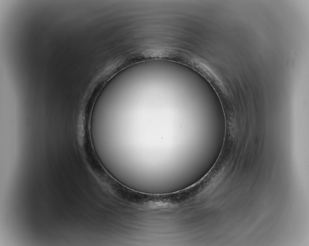 X0000099580586200805301601