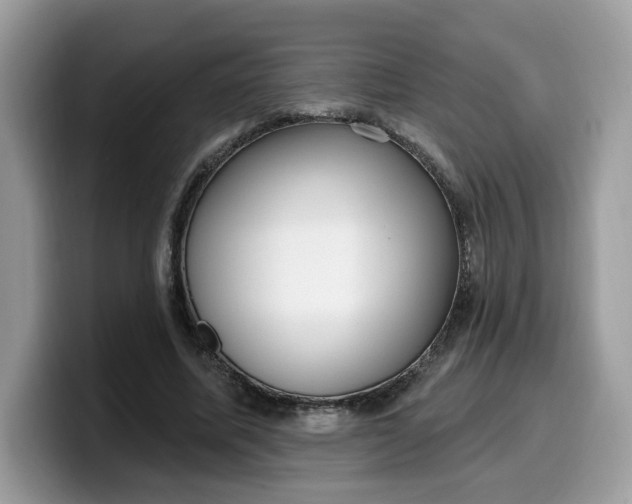 X0000099580587200805301601