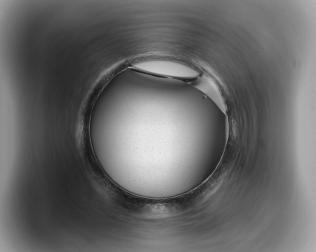 X0000099580588200805301601