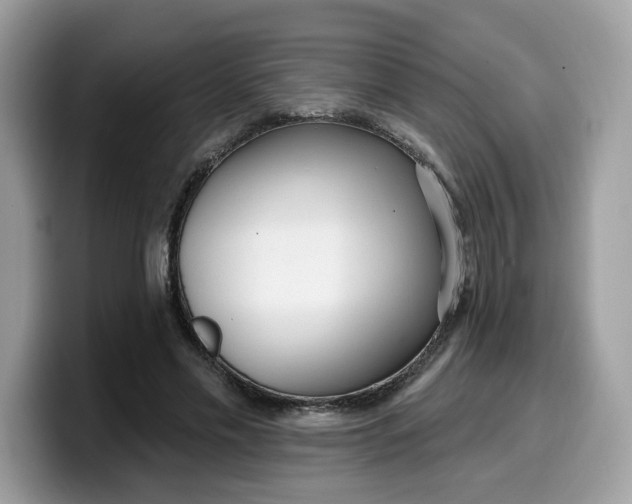 X0000099580589200805301601