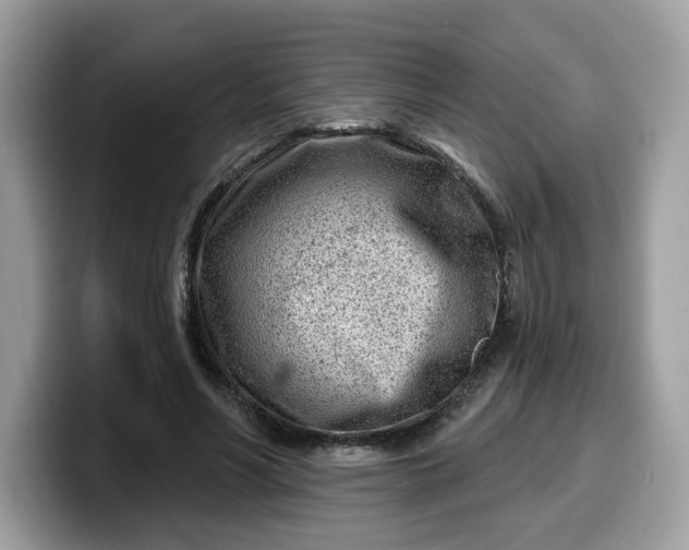 X0000099580590200805301601