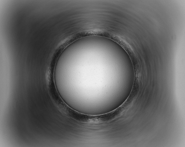 X0000099580591200805301601